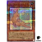 Melffy Wally 25th Secret QCCU-JP174 [QSrR] 25th Century side Unity Yugioh