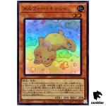 Melffy Catty - Super Rare QCCU-JP172 [SR] Quarter Century side Unity Yugioh