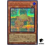 Melffy Catty - Secret Rare QCCU-JP172 [ScR] 25th Century side Unity Yugioh