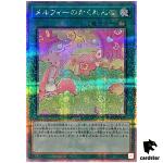 Melffy Hide-and-Seek 25th Secret QCCU-JP179 [QSrR] 25th side Unity Yugioh