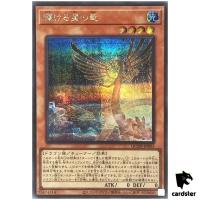 Shining Star Dragon QCDB-JP003 [ScR] Secret 25th Century Duelist Box Yugioh