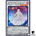Garden Rose Maiden QCDB-JP035 [SR] Super 25th Century Duelist Box Yugioh