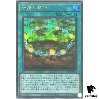 Opening of the Spirit Gates QCDB-JP056 [ScR] Secret 25th Cent Duelist Yugioh