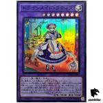 Lady s Dragonmaid QCTB-JP002 [SR] Super Rare 25th Century Trinity Yugioh