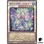 Adamancipator Risen - Dragite QCTB-JP057 [NPR] Normal Parallel Yugioh Japan