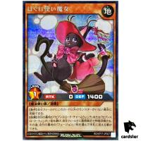 Straynge Cat Witch RD/KP17-JP007 Secret [ScR] Yugioh Rush Duel Japan