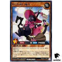 Straynge Cat Witch RD/KP17-JP007 Rare [R] Yugioh Rush Duel Japan