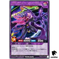 Star Cat Ace Nyanbuster RD/KP18-JP043 [R] Rare Dark Matter Yugioh