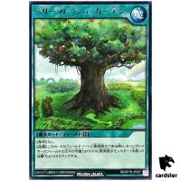 Berry Fresh Garden RD/KP18-JP057 [R] Rare Dark Matter of Phantoms Yugioh