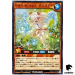 Berry Fresh Chesty RD/KP19-JP028 [N] Normal Yugioh Rush Duel Japanese