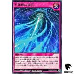 Absurd Void Hole RD/ORP2-JP021 Normal [N] Yugioh Rush Duel Japan