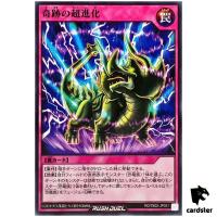 Ultra Evolution Miracle RD/TB02-JP051 [N] Normal Yugioh Rush Duel Japanese