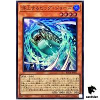 Surfacing Big Jaws ROTA-JP001 [SR] Super Rare Rage of the Abyss Yugioh