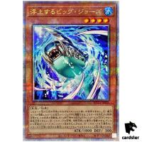 Surfacing Big Jaws ROTA-JP001 [QSrR] Quarter Rage of the Abyss Yugioh