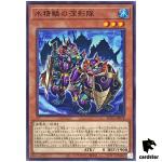 Mermail Shadow Bodyguards ROTA-JP018 [N] Normal Rage of the Abyss Yugioh