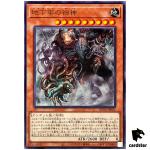 Transient Titan of Tartarus ROTA-JP021 [R] Rare Rage of the Abyss Yugioh