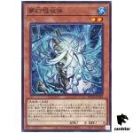 Dream Absorber ROTA-JP028 [N] Normal Rage of the Abyss Yugioh
