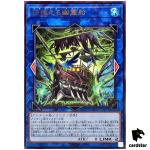 Flying Mary ROTA-JP047 [R] Rare Rage of the Abyss Yugioh