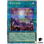 Primoredial Imperialode ROTA-JP058 [QSrR] Quarter Rage of the Abyss Yugioh