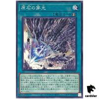 Primoredial Schiller ROTA-JP060 [N] Normal Rage of the Abyss Yugioh