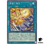 Turmoil of Sea and Flames ROTA-JP066 [N] Normal Rage of the Abyss Yugioh