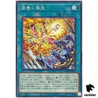 Turmoil of Sea and Flames ROTA-JP066 [N] Normal Rage of the Abyss Yugioh