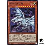 Blue-Eyes Alternative White Dragon SD47-JP004 [N] Normal Eyes of Blue Yugioh