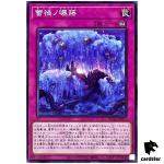 Ragnaraika Bleached Wisteria ROTA-JP077 [N] Normal Rage of the Abyss Yugioh