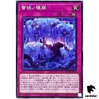 Ragnaraika Bleached Wisteria ROTA-JP077 [N] Normal Rage of the Abyss Yugioh