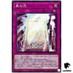 True Light SD47-JP028 [N] Normal Advent of the Eyes of Blue Yugioh Japan