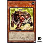 Test Bear SUDA-JP018 [R] Rare Supreme Darkness Yugioh Japanese