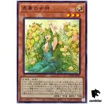 Goddess of Duality SUDA-JP029 [N] Normal Supreme Darkness Yugioh Japanese
