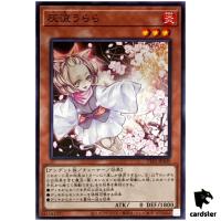 Ash Blossom Joyous Spring TT01-JPA09 [N] Tactical-Try Deck Yugioh Japanese