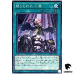 Forbidden Droplet TT01-JPA24 [N] Tactical-Try Deck Yugioh Japanese