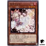 Ash Blossom Joyous Spring TT01-JPC04 [N] Tactical-Try Deck Yugioh Japanese
