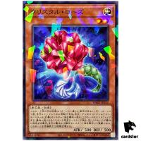 Crystal Rose TW02-JP053 [NPR] Normal Parallel Terminal World 2 Yugioh