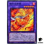 Fighting Flame Dragon WPP5-JP005 [N] Normal World Premiere 2024 Yugioh Japan