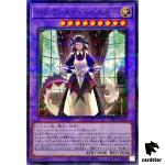 [Older Design] House Dragonmaid [NPR] Normal Parallel SLF1-JP065 YuGiOh