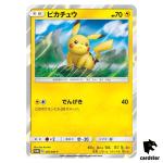 Pikachu [Promo] 376/SM-P 2019 Pokemon Japanese
