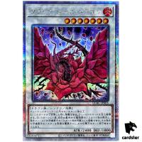 Black Rose Dragon [Front] QCAC-JP003 [QSrR] Quarter Art Collect Yugioh Japan