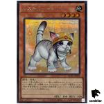 Rescue Cat [Right] QCAC-JP006 [ScR] Secret Art Collection Yugioh Japan
