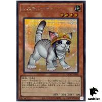 Rescue Cat [Right] QCAC-JP006 [ScR] Secret Art Collection Yugioh Japan