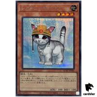 Rescue Cat [Left] QCAC-JP006 [ScR] Secret Art Collection Yugioh Japan