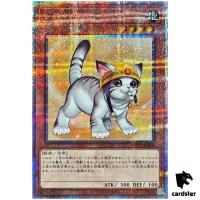 Rescue Cat [Right] QCAC-JP006 [QSrR] Quarter Art Collection Yugioh Japan