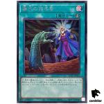 Called by the Grave [Old] QCAC-JP015 [ScR] Secret Art Collect Yugioh Japan
