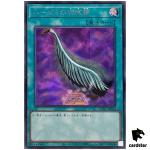 Harpie's Feather Duster [Purple] QCAC-JP024 [ScR] Secret Art Co Yugioh Japan
