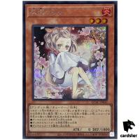 Ash Blossom Joyous Spring [Sit] QCAC-JP050 [ScR] Secret Art Collect Yugioh