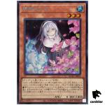 Ghost Sister Spooky Dogwood [Stand] QCAC-JP052 [ScR] Secret Art Colle Yugioh