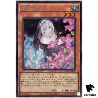Ghost Sister Spooky Dogwood [Stand] QCAC-JP052 [ScR] Secret Art Colle Yugioh