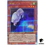 Ghost Mourner Moonlit Chill [Right] QCAC-JP053 [QSrR] Quarter Art Col Yugioh